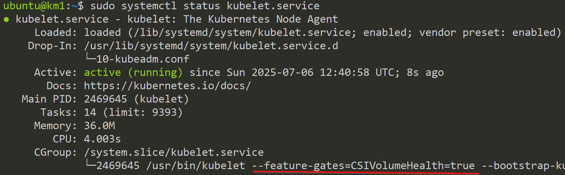 kubelet.service CSIVolumeHealth Feature Gate