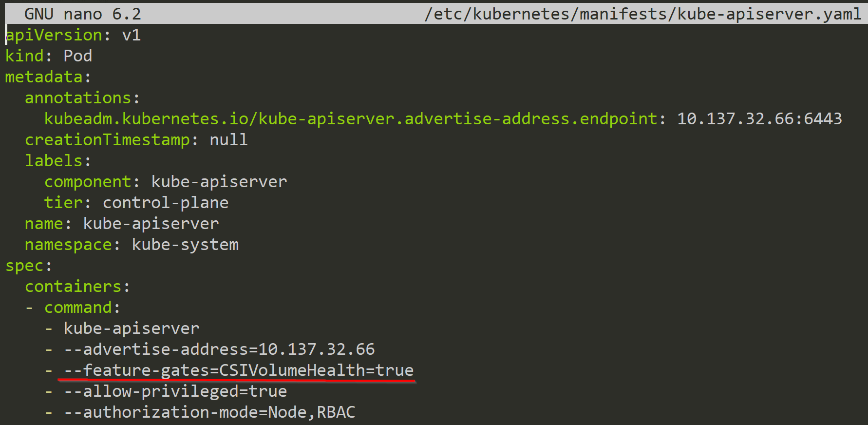 kube-apiserver with the Feature Gate