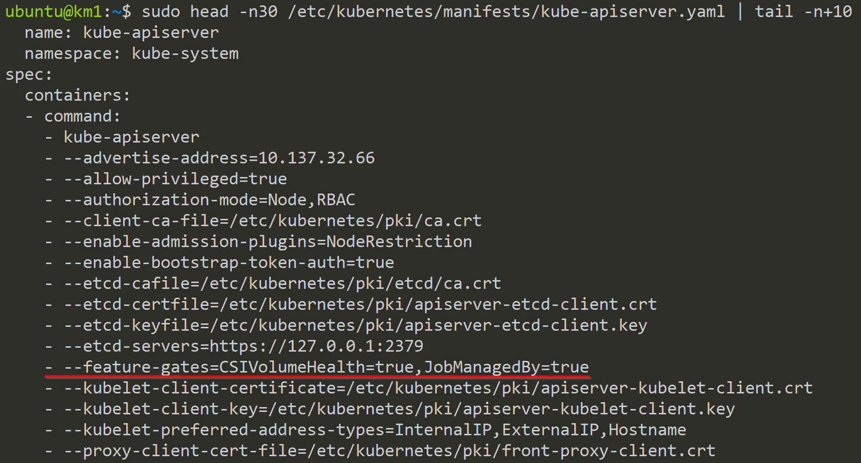 Feature Gate in the kube-apiserver