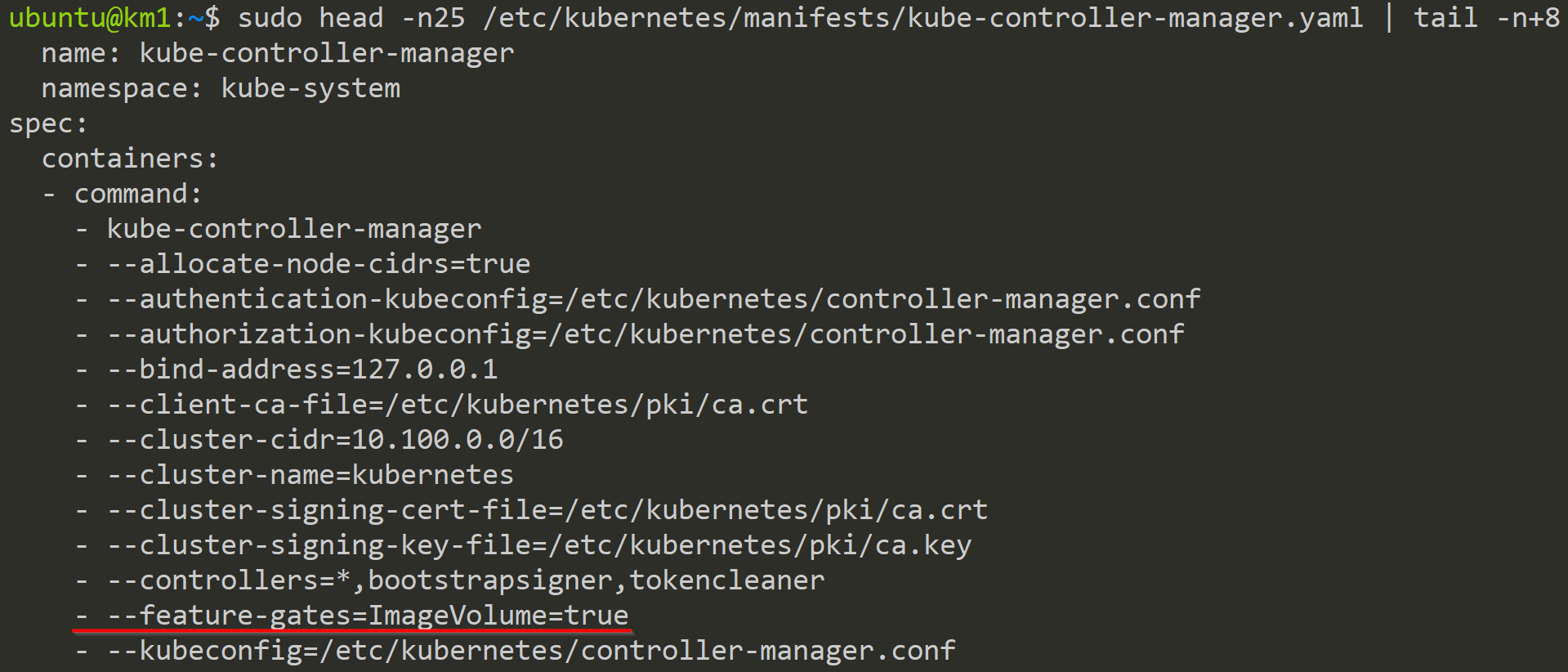 Feature Gate in the kube-controller-manager